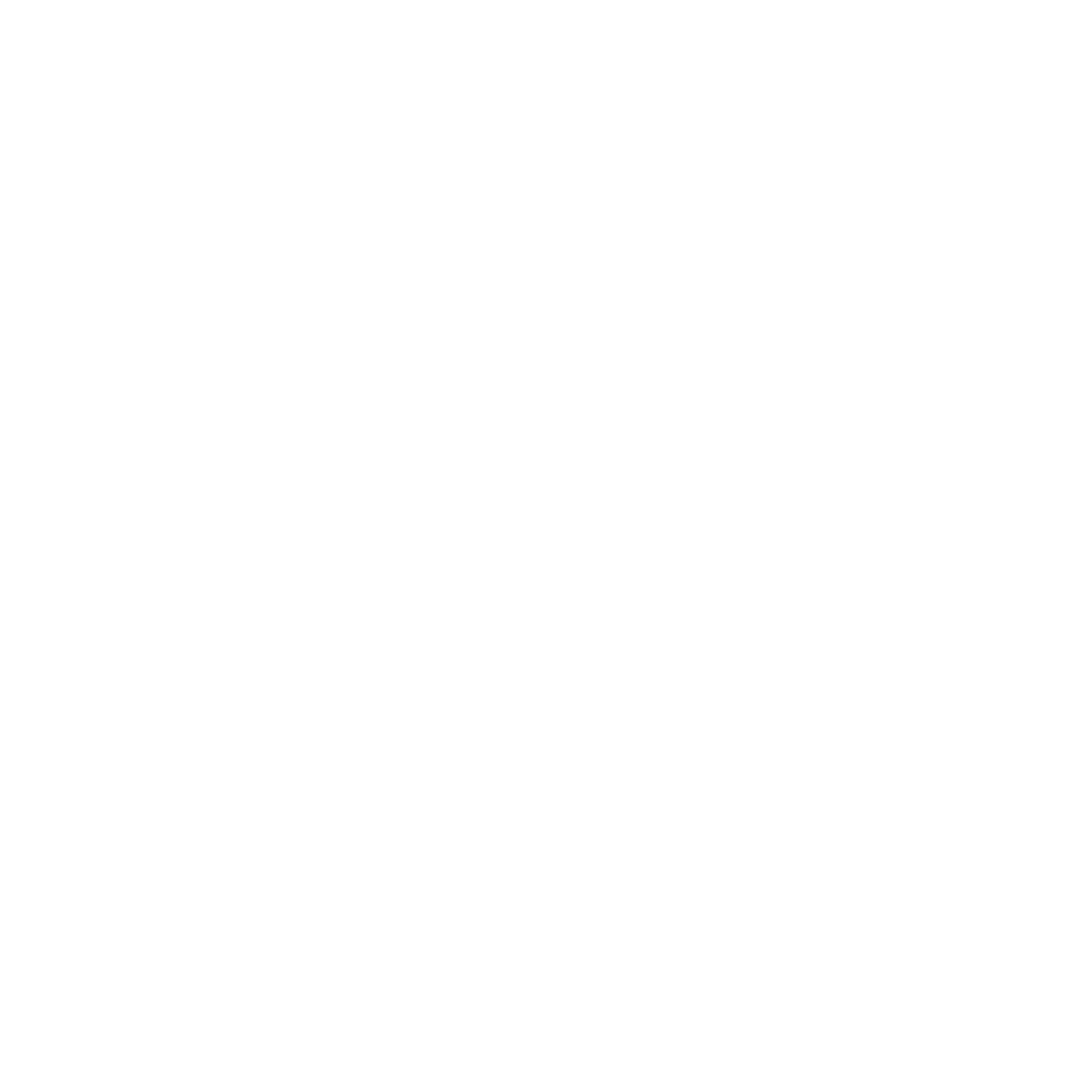 logo compte Instagram